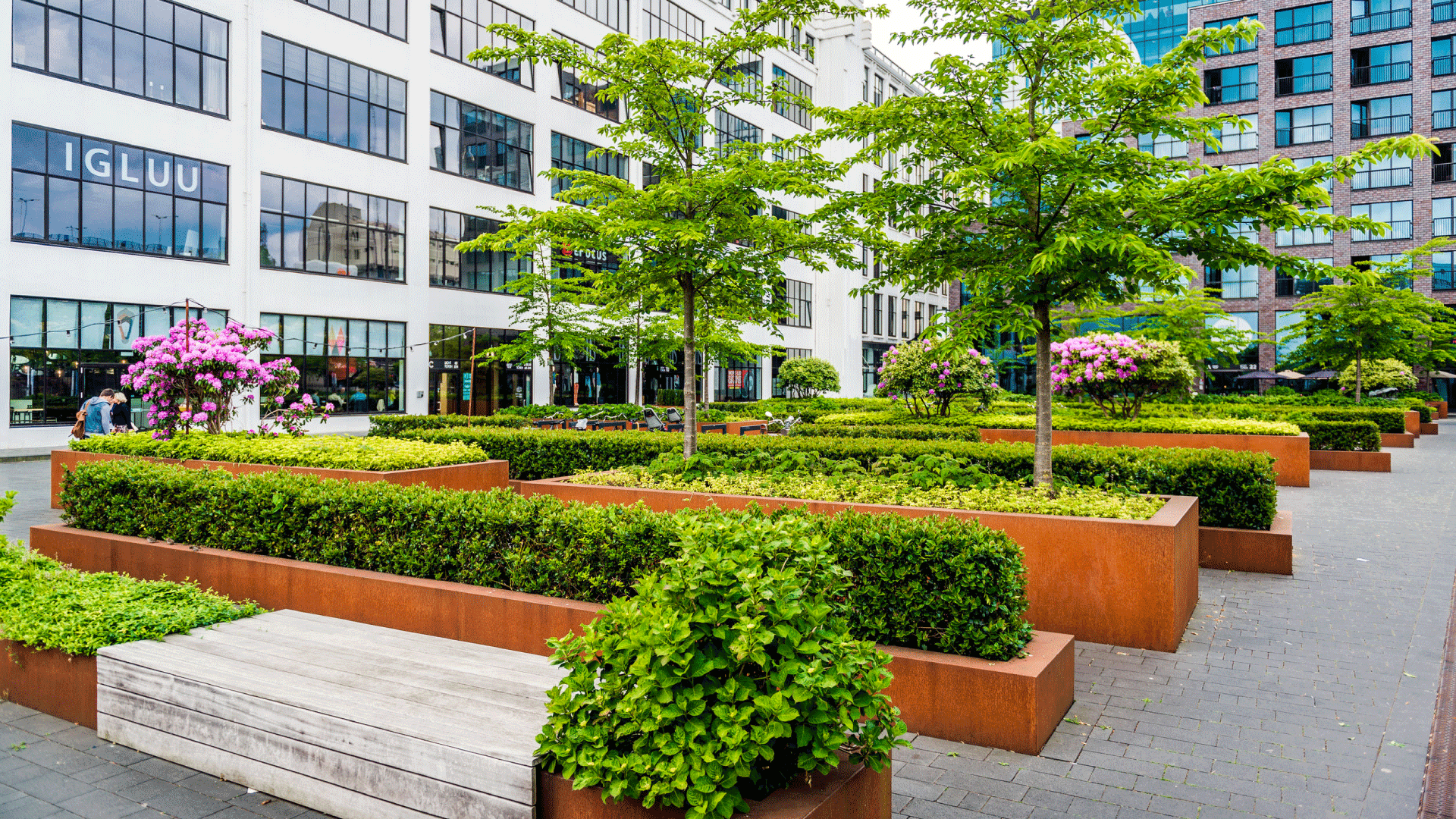 M&C Landscaping & Tree Service Commercial Landscaping