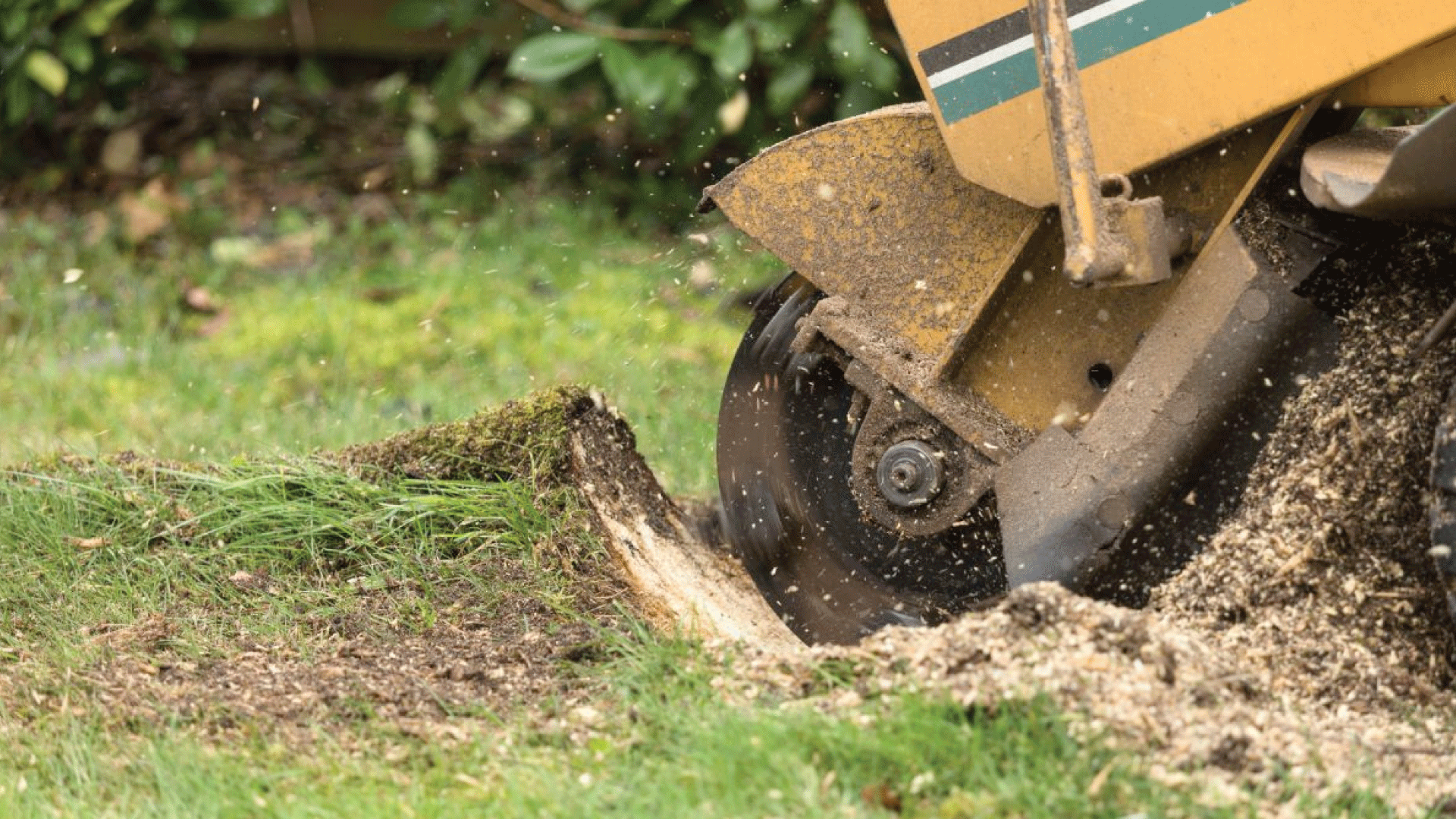 M&C Landscaping & Tree Service | Stump Grinding